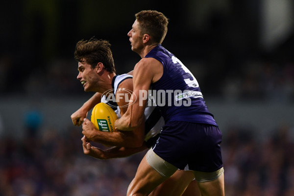 AFL 2017 Round 01 - Fremantle v Geelong - 496244