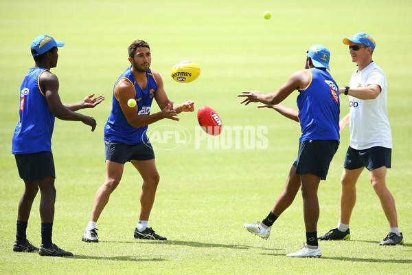 AFL 2017 Training - West Coast Eagles 201117 - 560878