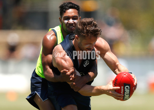 AFL 2017 Training - Blues on the Sunshine Coast - 563260