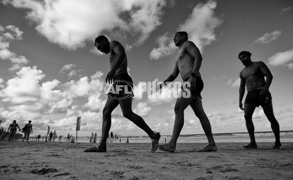 AFL 2017 Training - Blues on the Sunshine Coast - 563349