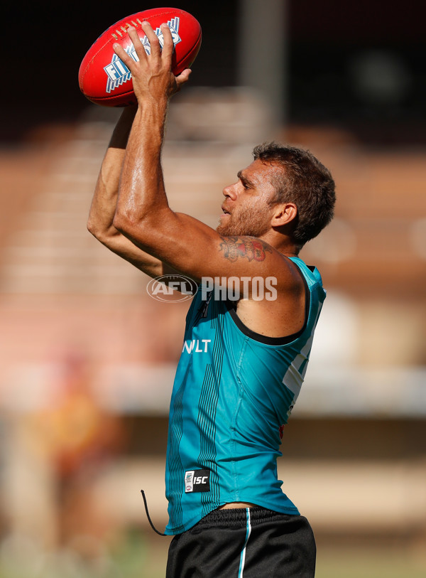 AFL 2017 Training - Port Adelaide 090317 - 492584