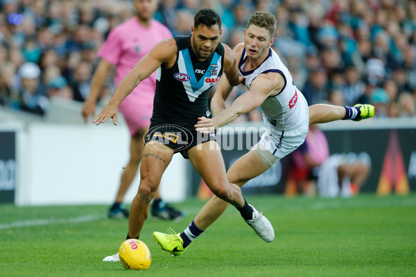 AFL 2017 Round 02 - Port Adelaide v Fremantle - 498363