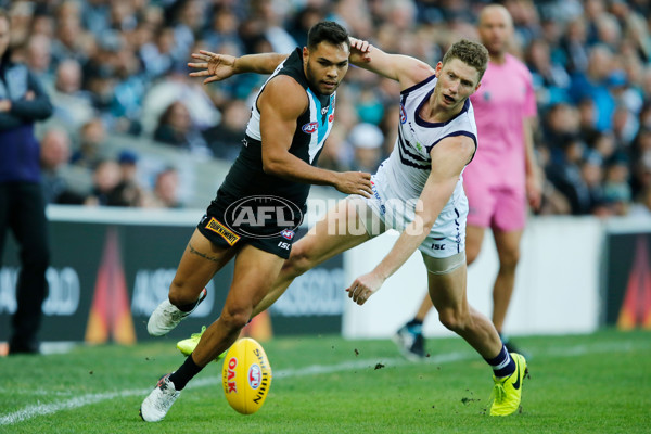 AFL 2017 Round 02 - Port Adelaide v Fremantle - 498362