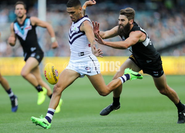AFL 2017 Round 02 - Port Adelaide v Fremantle - 498504