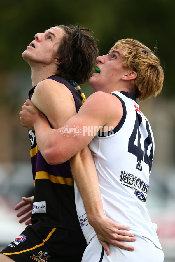 TAC Cup 2017 Round 03 - Geelong v Murray Bushrangers - 499826