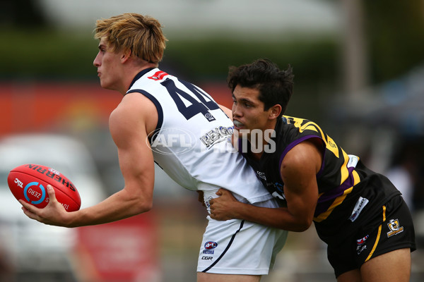 TAC Cup 2017 Round 03 - Geelong v Murray Bushrangers - 499825