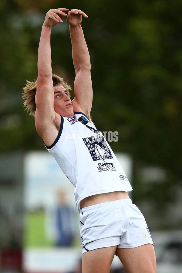 TAC Cup 2017 Round 03 - Geelong v Murray Bushrangers - 499839