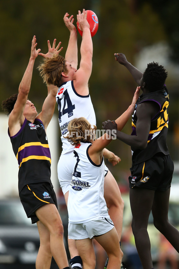 TAC Cup 2017 Round 03 - Geelong v Murray Bushrangers - 499838