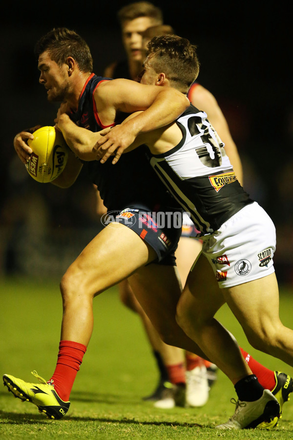 SANFL 2017 Round 01 - Norwood v Port Adelaide - 500747