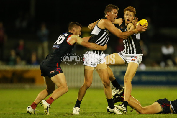 SANFL 2017 Round 01 - Norwood v Port Adelaide - 500749