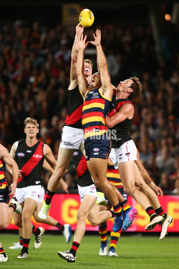 AFL 2017 Round 04 - Adelaide Crows v Essendon - 501786