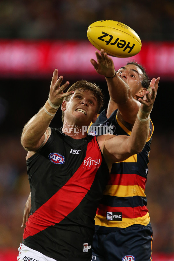 AFL 2017 Round 04 - Adelaide Crows v Essendon - 501936