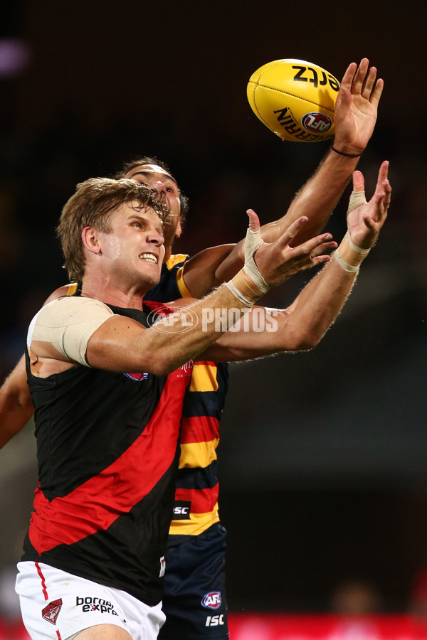 AFL 2017 Round 04 - Adelaide Crows v Essendon - 501948