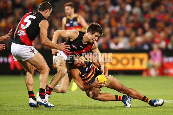 AFL 2017 Round 04 - Adelaide Crows v Essendon - 501974