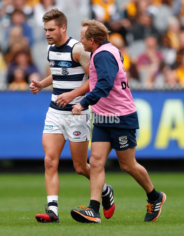 AFL 2017 Round 04 - Hawthorn v Geelong - 502493