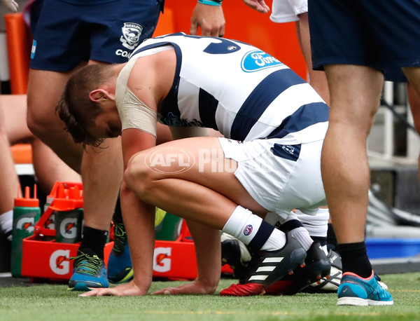 AFL 2017 Round 04 - Hawthorn v Geelong - 502491