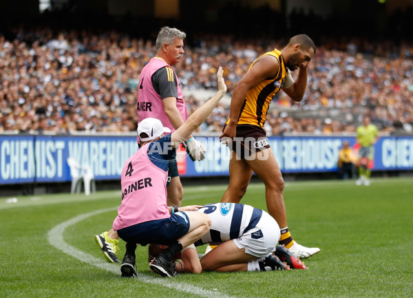 AFL 2017 Round 04 - Hawthorn v Geelong - 502482