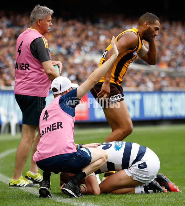 AFL 2017 Round 04 - Hawthorn v Geelong - 502484