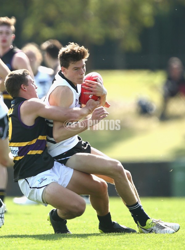 TAC Cup 2017 Round 05 - Northern Knights v Murray Bushrangers - 504352