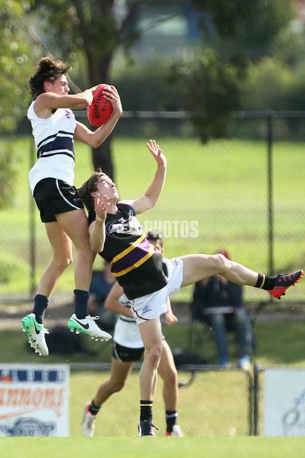 TAC Cup 2017 Round 05 - Northern Knights v Murray Bushrangers - 504362