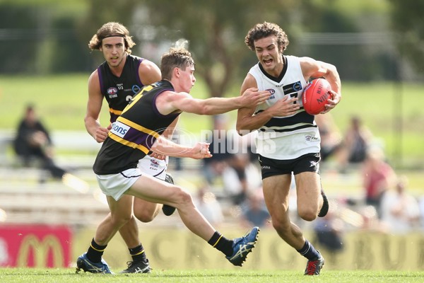 TAC Cup 2017 Round 05 - Northern Knights v Murray Bushrangers - 504382