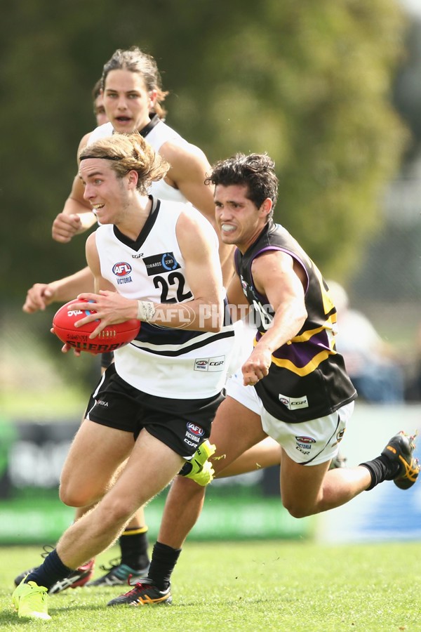 TAC Cup 2017 Round 05 - Northern Knights v Murray Bushrangers - 504387