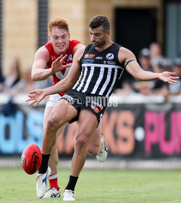 SANFL 2017 Round 03 - Port Adelaide v North Adelaide - 504401