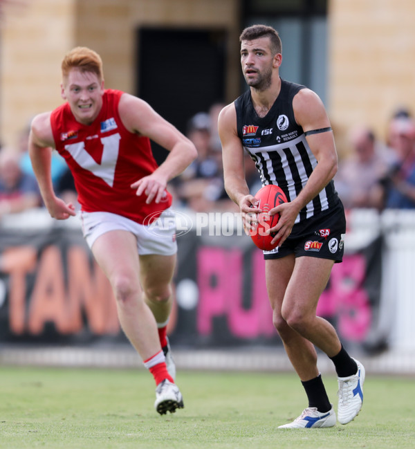 SANFL 2017 Round 03 - Port Adelaide v North Adelaide - 504402