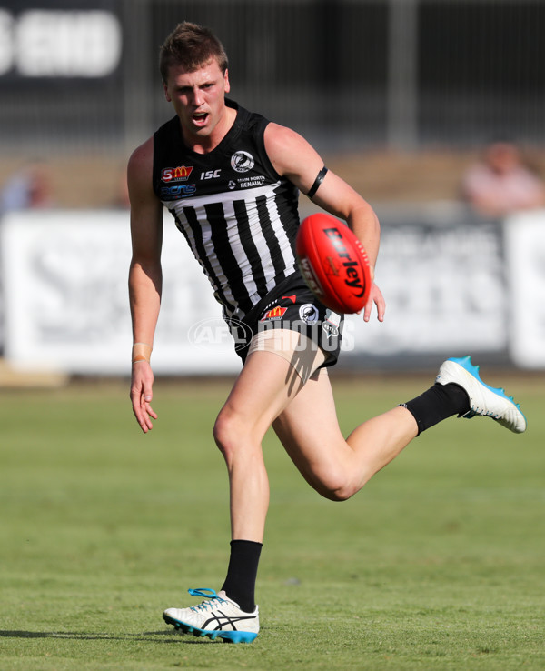 SANFL 2017 Round 03 - Port Adelaide v North Adelaide - 504385