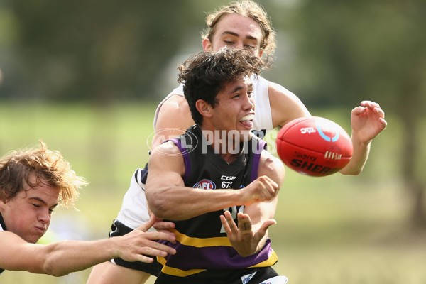 TAC Cup 2017 Round 05 - Northern Knights v Murray Bushrangers - 504379