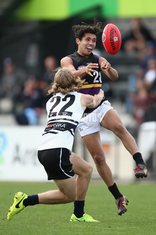 TAC Cup 2017 Round 05 - Northern Knights v Murray Bushrangers - 504764