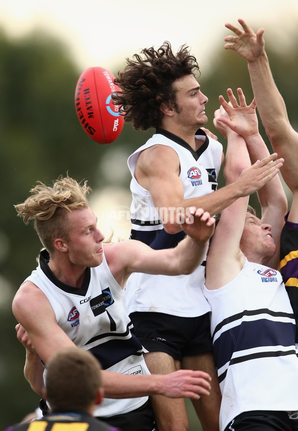 TAC Cup 2017 Round 05 - Northern Knights v Murray Bushrangers - 504772