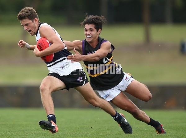 TAC Cup 2017 Round 05 - Northern Knights v Murray Bushrangers - 504766