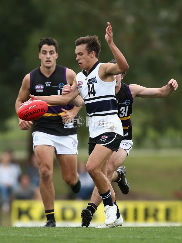 TAC Cup 2017 Round 05 - Northern Knights v Murray Bushrangers - 504779