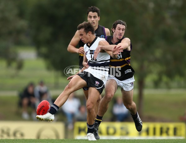 TAC Cup 2017 Round 05 - Northern Knights v Murray Bushrangers - 504781