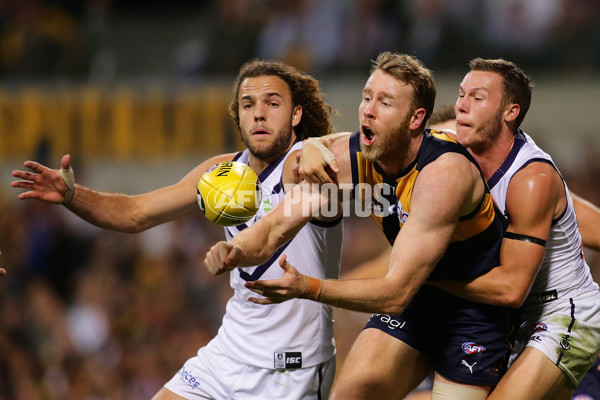 AFL 2017 Round 06 - West Coast v Fremantle - 507032