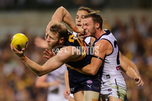 AFL 2017 Round 06 - West Coast v Fremantle - 507035