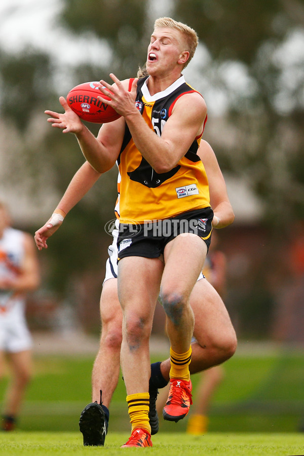 TAC Cup 2017 Round 05 -  Dandenong v Calder Cannons - 507828