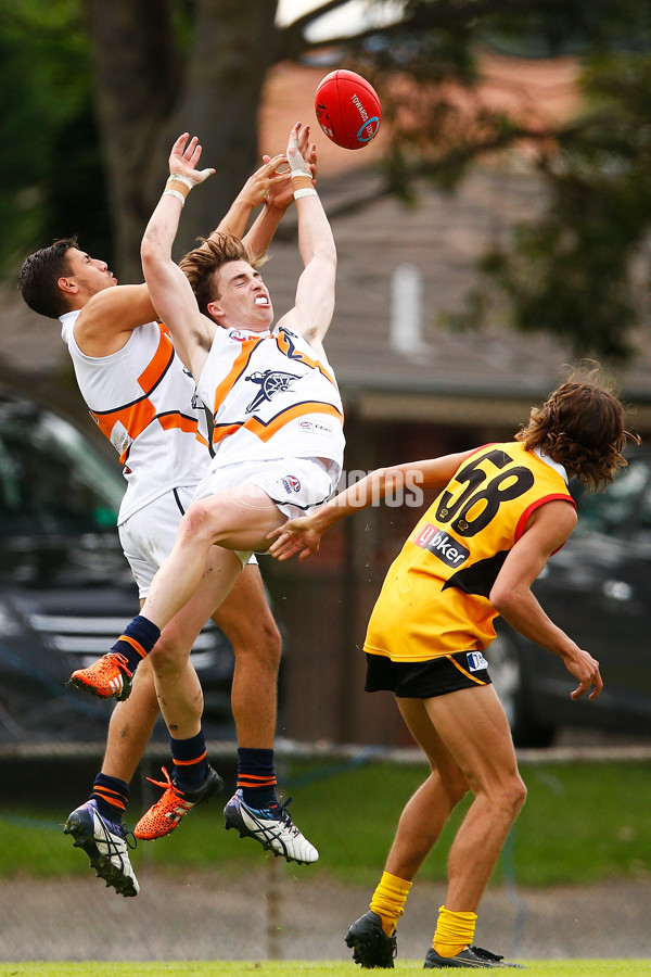 TAC Cup 2017 Round 05 -  Dandenong v Calder Cannons - 507830