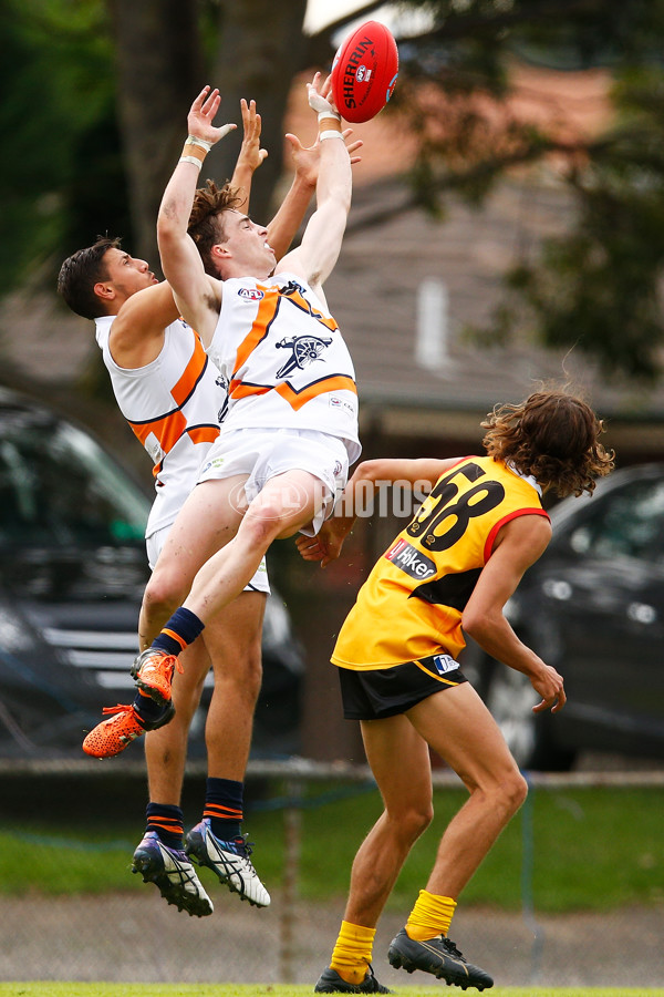 TAC Cup 2017 Round 05 -  Dandenong v Calder Cannons - 507829