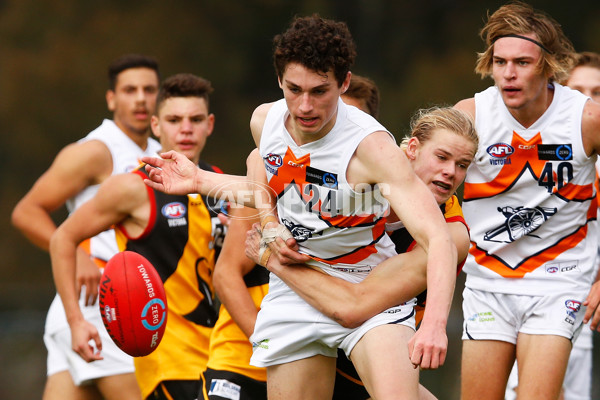 TAC Cup 2017 Round 05 -  Dandenong v Calder Cannons - 507861