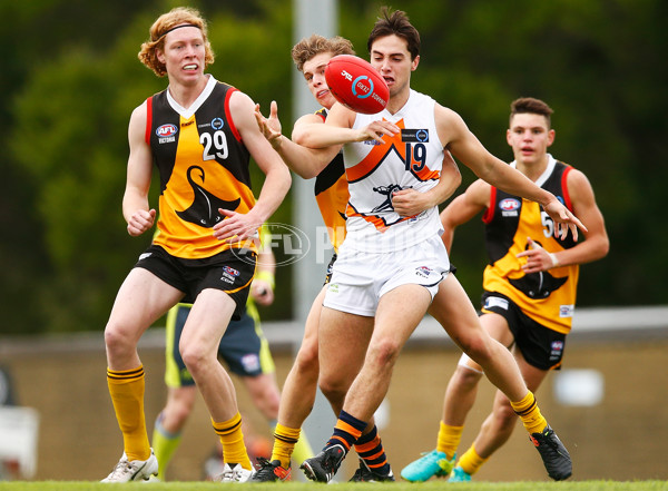 TAC Cup 2017 Round 05 -  Dandenong v Calder Cannons - 507854