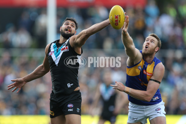 AFL 2017 Round 07 - Port Adelaide v West Coast - 508564