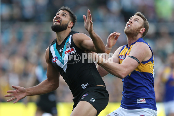 AFL 2017 Round 07 - Port Adelaide v West Coast - 508563