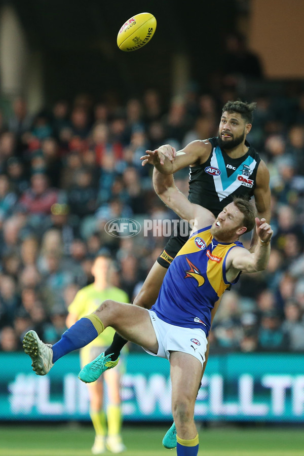 AFL 2017 Round 07 - Port Adelaide v West Coast - 508707