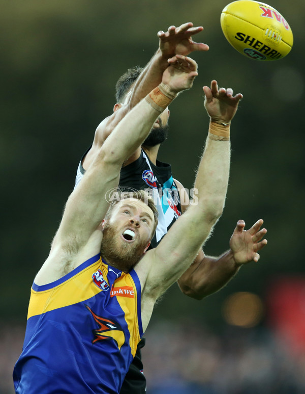 AFL 2017 Round 07 - Port Adelaide v West Coast - 508734