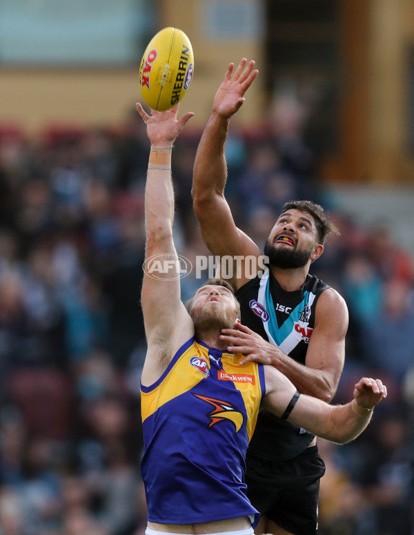 AFL 2017 Round 07 - Port Adelaide v West Coast - 508983