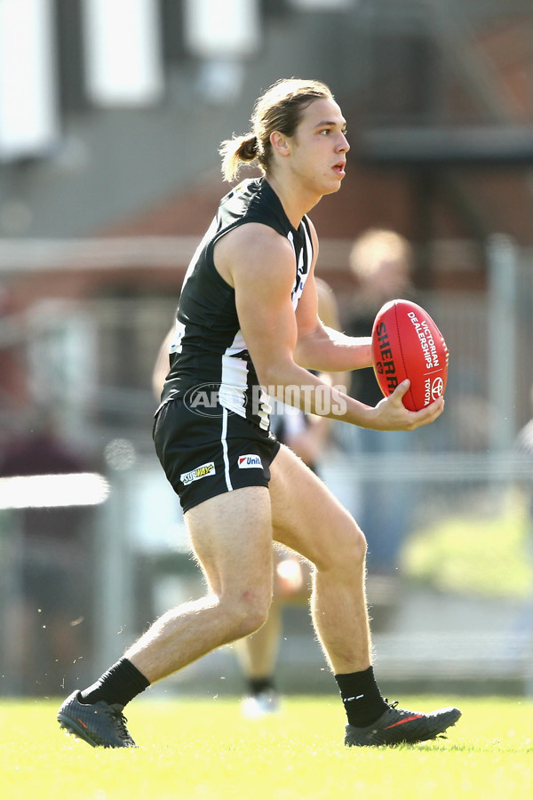 VFL 2017 Round 04 - Collingwood v Northern Blues - 509256