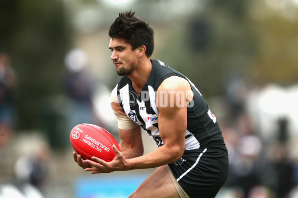 VFL 2017 Round 04 - Collingwood v Northern Blues - 509226