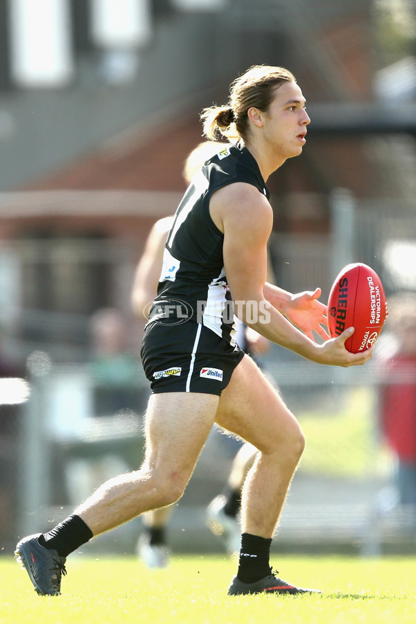 VFL 2017 Round 04 - Collingwood v Northern Blues - 509257